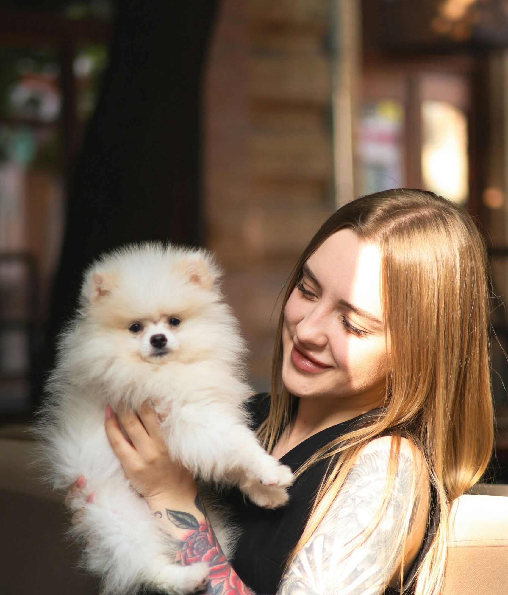 🐾 ¿La vida pet-friendly? ¡La vida Provy!